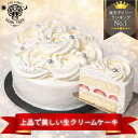 母の日プレゼントに人気のショートケーキホール｜誕生日にも嬉しい冷凍ギフト